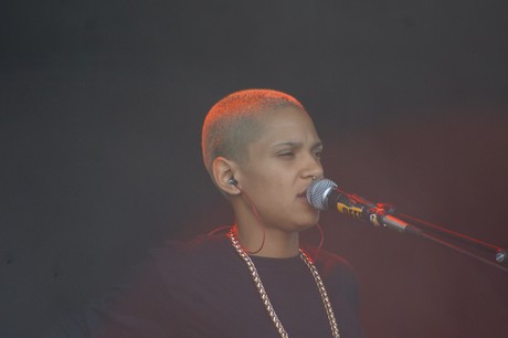 Rockaue in Bonn